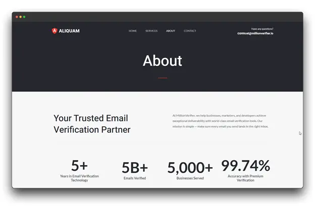 A screenshot of the Aliquam website, highlighting its role as a trusted email verification partner with key statistics on years in technology, emails verified, businesses served, and accuracy. Keywords: Email Verification APIs; Email Verification API; Improve Deliverability.